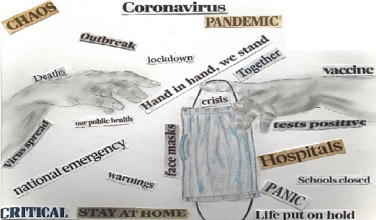 2020 Gets Blurry: Pandemic & Quarantine Dominate Life, School