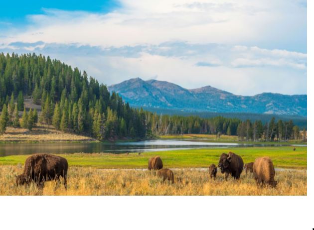 Public Lands: The key to a happy and healthy society
